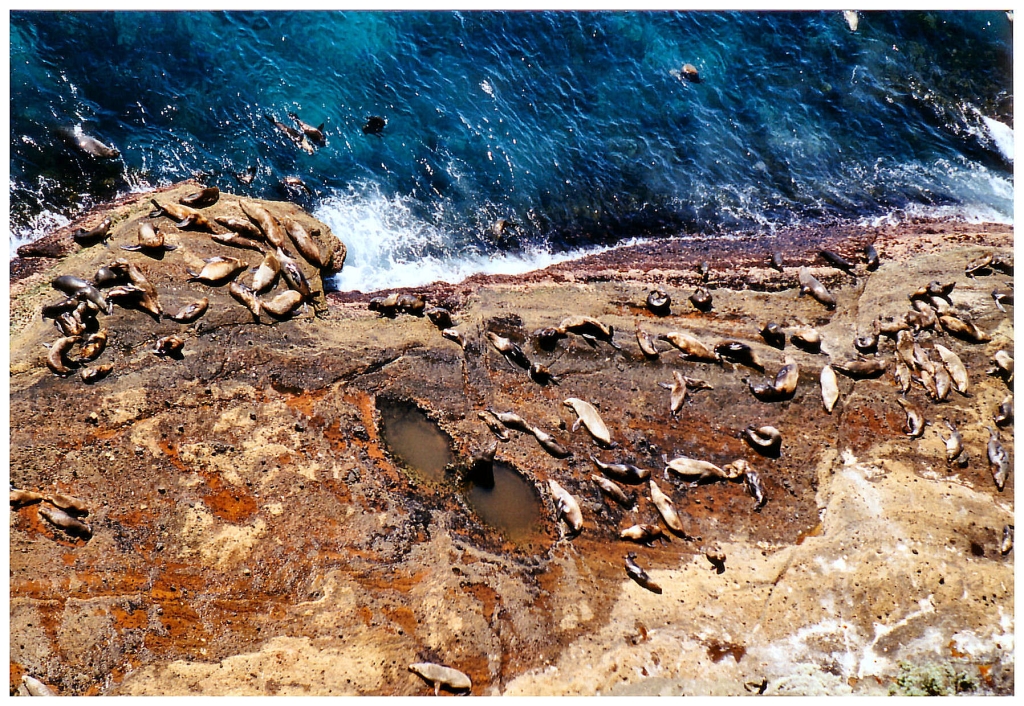 04 The Great Ocean Road (26).jpg